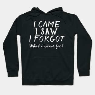 I Came, I Saw, I Forgot What I Came For Funny Gift Hoodie